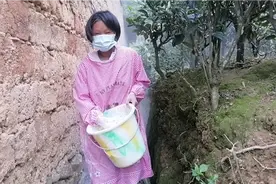 每年都有蛇进家，端午了没有熊黄就撒些石灰粉加漂白粉来消毒预防视频封面