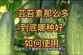 芸苔素确实是个好东西，选择哪一种效果好？怎么使用，全在这里
