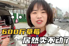 600斤草莓卖两天居然卖不动了，夫妻俩都要绝望了，只好收摊回家视频封面