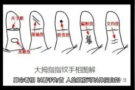 教你从大拇指纹路看财运
