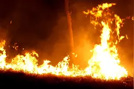突发山火🔥为什么不能人工降雨灭火？看完你就知道了！视频封面
