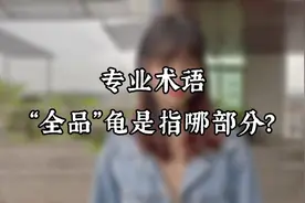 养龟专业术语“全品”是指哪部分？今天敏姐带大家了解一下视频封面