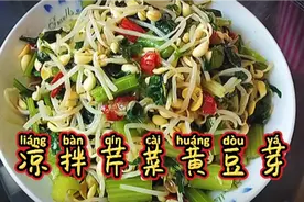 五分钟的酸辣开胃小菜，凉拌芹菜豆芽，专治夏天没食欲视频封面