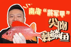 南海“将军甲”尖吻棘鳞鱼