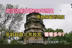武汉这座古塔750年历史，原貌保留至今，年龄超越故宫，看看多牛视频封面