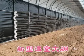 河南菜农投资五十万建造新型双层温室大棚，利用太阳能水袋加热！视频封面