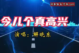1995年央视春晚，群星璀璨，解晓东一首《今儿个真高兴》超燃现场视频封面