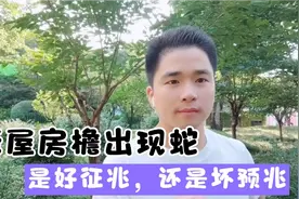 老屋房檐出现蛇，是好征兆、还是坏预兆，各位路神拿个主意视频封面