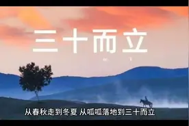 1987年丁卯兔，一个多情温情又有些小心思，胆小又自怜的兔兔视频封面