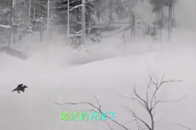 报，边关八百里加急文书传来，敌兵十万，直奔大散关而来视频封面