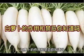 白萝卜的功用和禁忌