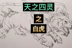手绘古代神话，天之四灵之白虎，代表西方之神，威严，你爱画画吗