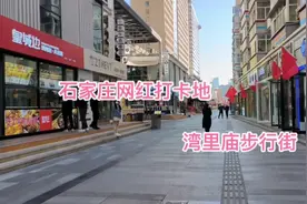 石家庄网红打卡地湾里庙步行街，改造后旧貌换新颜，可是人不多！视频封面