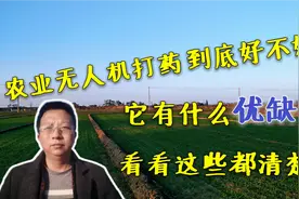 农业无人机喷药到底好不好？它有什么优缺点？看看这些都清楚吗？视频封面