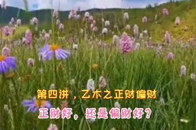 正财好还是偏财好？第四讲丁火之正财偏财，瑾名轩起名大师程中华