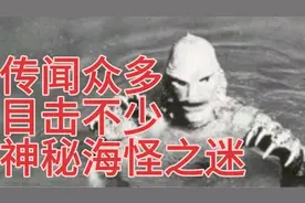 传闻实在太多，目击确实不少，神秘海怪极有可能真的存在。视频封面