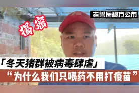 老兽医秘方公布，猪群被病毒肆虐，为什么我们只喂药不用打疫苗？视频封面