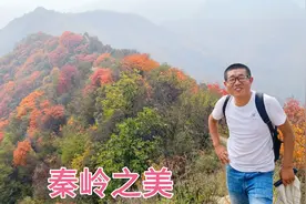 山顶看风景山下看落叶，秦岭终南山的秋季美不胜收，穿梭在美景中视频封面