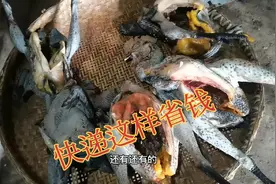 寄十只鸡空运需要多少钱？一只鸡快递费只要十多块，真实案例视频封面