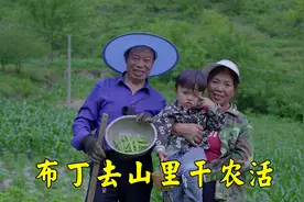 小布丁跟着爷奶去山里，有模有样的干起了农活，这农村生活太治愈视频封面