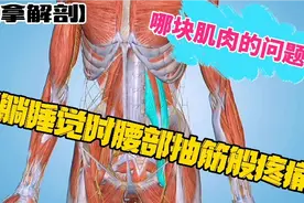 平躺睡觉时，腰部抽筋般酸痛，是哪块肌肉的问题？【推拿解剖】视频封面