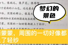 优美句子积累：烟雨蒙蒙，周围的一切好像都披上了轻纱。视频封面