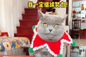 1,000,000视频封面