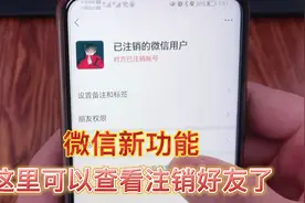 微信可以查看注销好友了，看看你有几个好友注销了，涨知识啦视频封面