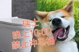 13个瑞士的奇怪冷知识，晚上10点后禁止冲马桶，太雷人