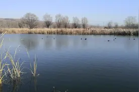 一年结束了看看口袋还有一支烟✌视频封面