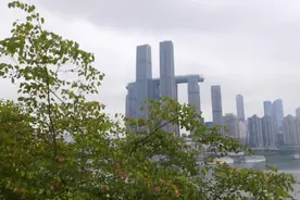 都市的归隐，长嘉汇羊蹄甲花开正艳，两江交汇生态打造良好……视频封面