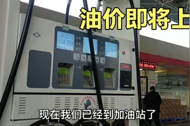 陕西油价即将上涨，带大家看看92号，95号汽油价格，你们那啥价视频封面