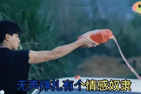 刘德华原版的《暗里着迷》粤语版和国语版视频封面