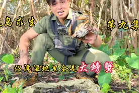 小伙在孤岛上刚建好了城堡，没想到沼泽湿地里面还全是超级大螃蟹