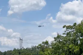 突然听到楼顶上传来大响声，小伙赶紧走上去看看，到底是怎么回事视频封面