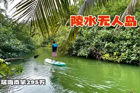 旅居海南295天，第4次才登上这个无人岛，遍地都是椰子视频封面