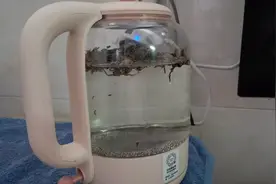 艾草煮水给孩子泡澡！视频封面