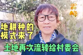 农村个人承包的土地，再次流转给村委会，这种新的流转模式太好了视频封面