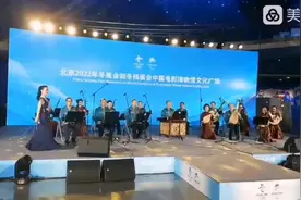 《马兰花开》民乐合奏视频封面