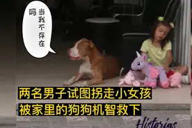 监控下真实一幕，两名男子试图拐走小女孩，被家里狗狗机智救下视频封面