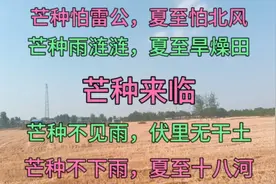 芒种晴天好不好？今夏雨水多吗？会丰收吗？看芒种天气变化能知道视频封面