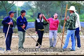 农业专家下田考察，在田间铺红毯视频封面
