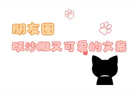朋友圈既沙雕又可爱的文案，总有一条适合你