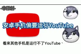 看来其他手机是运行不了YouTube,你放屁!