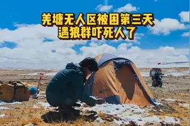 羌塘无人区被困第三天。等待救援遇到狼群吓死人了。视频封面
