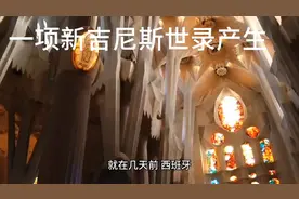 世界最大人体肾结石成功取出视频封面