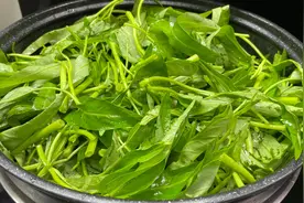 空心菜怎样炒颜色翠绿不发黑，大厨教你一招，营养美味又下饭，香