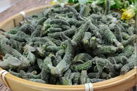 褚桃好吃有诀窍，教你奶奶常用的秘诀，好吃比肉香，老少皆宜健康