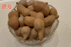 身边的草药（390），酸角，解暑消食化痰的草药视频封面