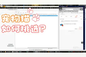京东撸货：号得登陆与商品，下单成功的状态！